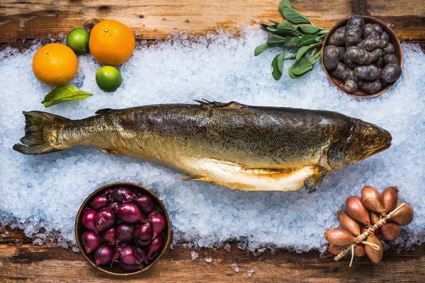 Sea Culinar Lachs, ganz, heißgeräuchert, 2-3kg, 1 KG