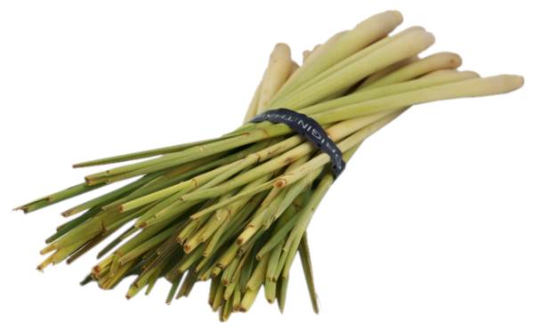 AGF sereh stengel, bosje 500 GR/ST