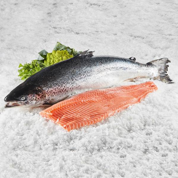 Sea Culinar Lachsfilet, frisch, mit Haut, Trim D, FARÖER INSELN, ca. 1,3-1,8kg 1000 G/KG