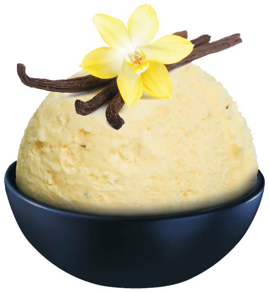 Mr Schöller Lody o smaku waniliowym, 5 L/PU