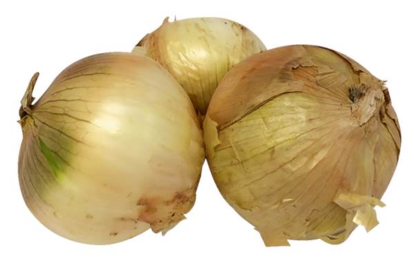 AGF Spaanse uien, in schil 1 KG