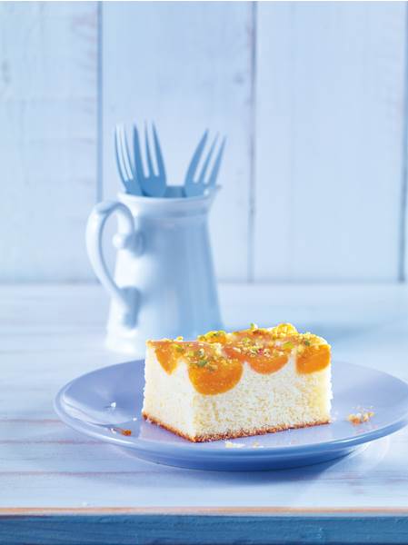 TK Patisserie du Chef Aprikosenkuchen dekoriert mit gehackten Pistazien, 2,43 KG/ST