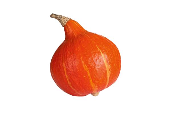 AGF pompoen hokkaido 1 ST