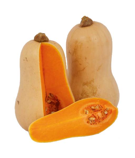 AGF flespompoen 1 ST