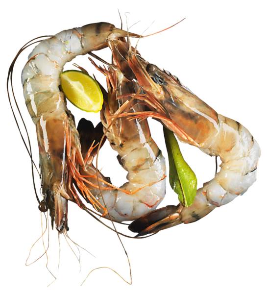 TK Black-Tiger-Garnelen, mit Kopf und Schwanz, "Body Peel", 16-20 Stück per kg, 1 KG/PK roh, 20% Glasur, Nettofüllgewicht: 0,8 kg, mit Trinkwasserzusatz