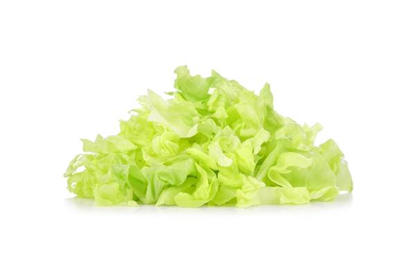 Sałata lodowa cięta, myta, 1 KG/PA