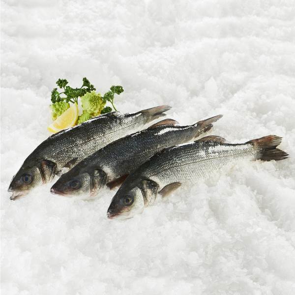 Wolfsbarsch, frisch, ausgenommen, 350-550g, 1 KG Loup de Mer