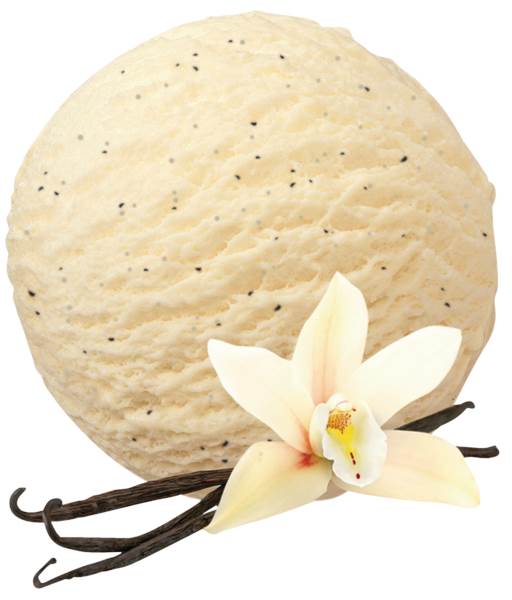 TK Best Price Bourbon Vanille Eis, 5 L/SH