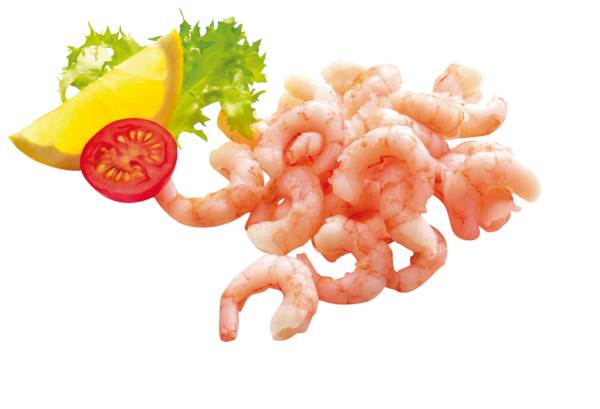 TK Kaltwasser-Garnelen, geschält, gekocht, IQF, ca.10% Glasur, 300-500 Stück/ lb, 1 KG/BT Nettofüllgewicht: 0,9kg