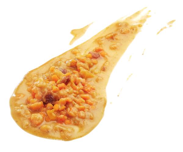 Planet V BIO Linsendhal, 3,5 KG/SH vegan - Linseneintopf mit Kokosmilch, Roten Linsen und Trockenfrüchten