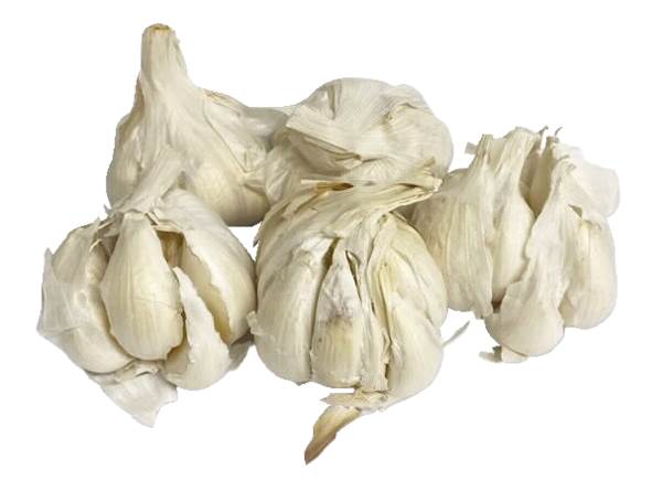 AGF knoflook Frans 1 KG