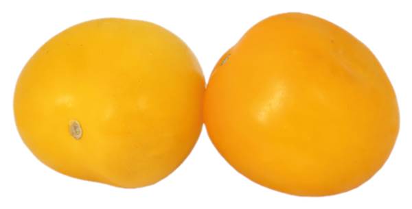 AGF tomaten geel 1 KG