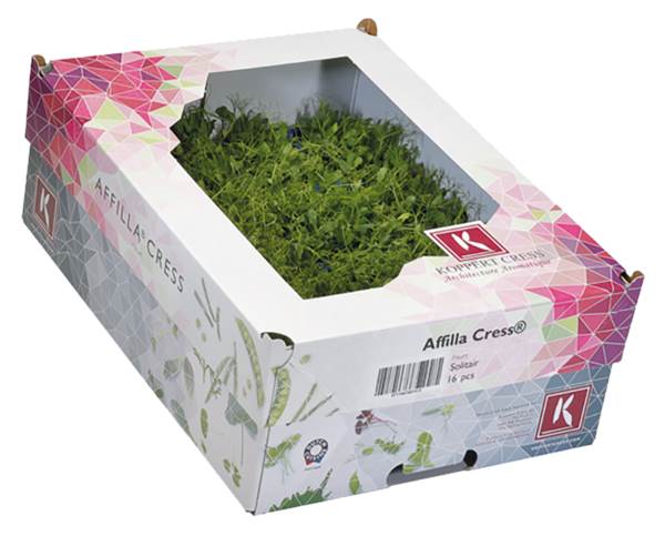 AGF affilla cress 16 ST/DS