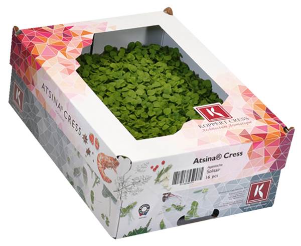 AGF atsina cress (doos)       16st
