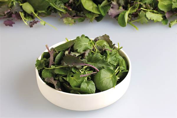 O+G Keltenhof, Salatmischung Super Food Mix, 250 G/BT Baby Spinat, Wasser-/Landkresse, Baby Leaf Kale rot, Baby Leaf Kale grün