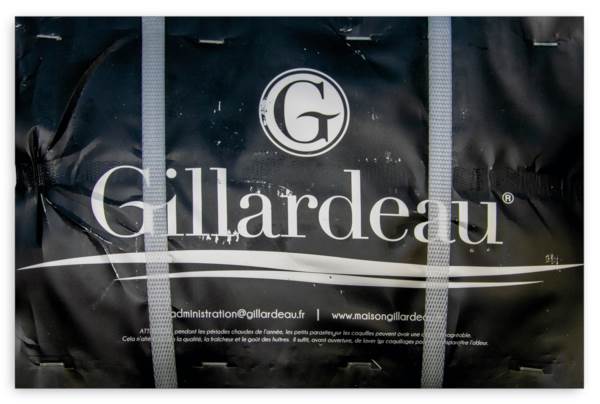 gillardeau                  3-24st