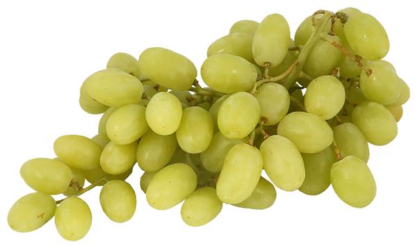 AGF pitloze witte druiven 500 GR/BA