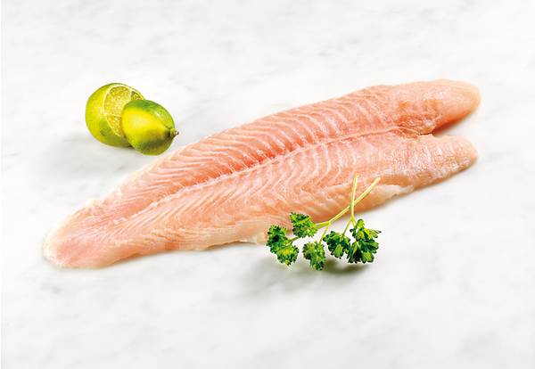 TK ASC Pangasiusfilet, ohne Haut, 10% Glasur, praktisch grätenfrei, ca. 90-110g, 5 KG/KT