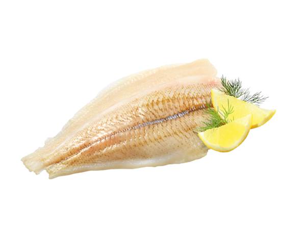 TK Star Culinar MSC Schollen-Doppelfilet, IQF, 10% Glasur, ca.30 Stück, ca.160-180g, 5 KG/KT praktisch grätenfrei, Nordsee, ohne schwarze Haut, Nettofüllgewicht: 4,5kg