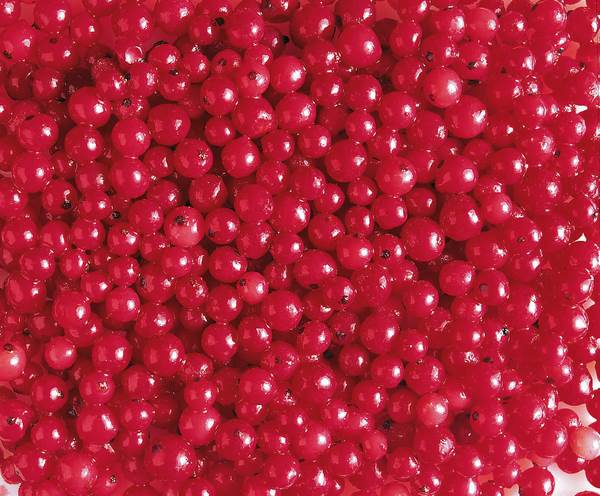 TK Johannisbeeren, rot, 2,5 KG/BT