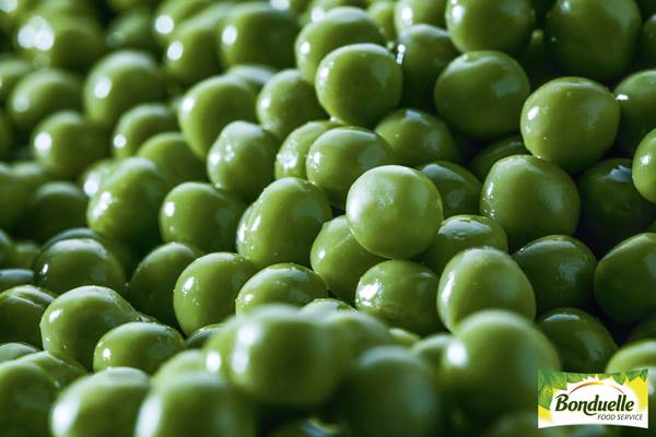 DV Bonduelle Minute doperwten extra fijn, voorgegaard a la minute 2,5 KG/ZK