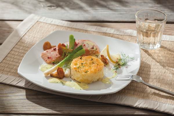 TK Schnefrost DF Gourmet Gratin 1,2 kg 10 PC/BG