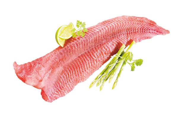 TK Wels-Naturfilet, IQF, 10% Glasur, ca.16 Stück, ca.200-400g, 5 KG/KT ohne Haut, Nettofüllgewicht: 4,5kg