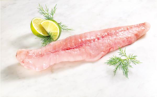 TK Seeteufel-Naturfilet, ohne Haut, IQF, 10% Glasur, USA, ca.200-400g, 5 KG/KT