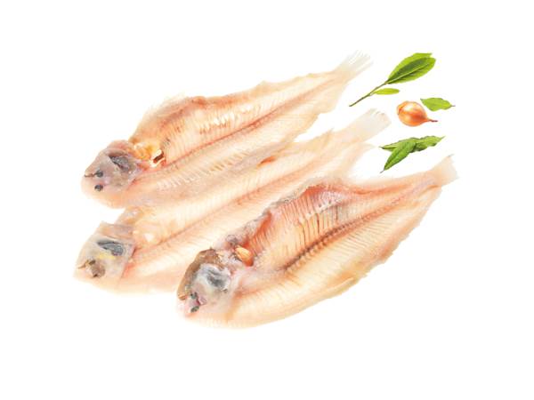 TK Edelfisch-Gräten, mit anhaftendem Fleisch, 5 KG/KT