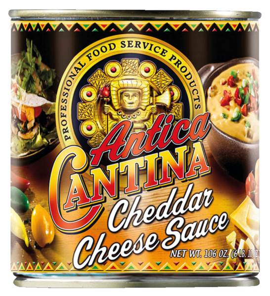 Antica Cantina Cheddar Cheese Sauce 3 KG/DS