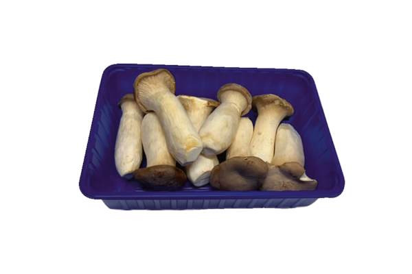 AGF eryngii king bolet 0,5 KG/DG