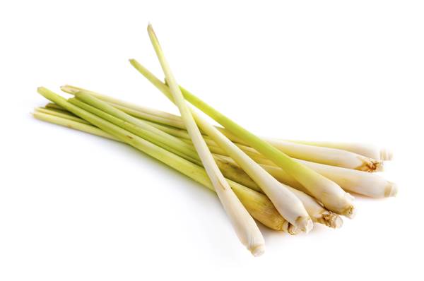 F+V Lemon grass 150g 150 G/BI