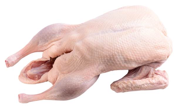 Kaczka rasy Pekin, klasa A, bez podrobów, z szyją, ok.1,9-2,5kg, 2,2 KG/ST