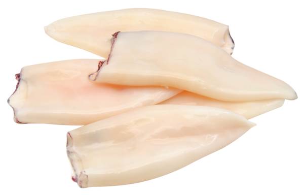 Mr Kałamarnica tuby U5, 30% glazury 1 KG/PA Kałamarnica Humboldta