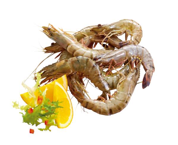 Mr Krewetki tygrysie "Black Tiger" 16/20, całe, surowe, w skorupie, z głową, 1 KG/PA , IQF, glazura 20%