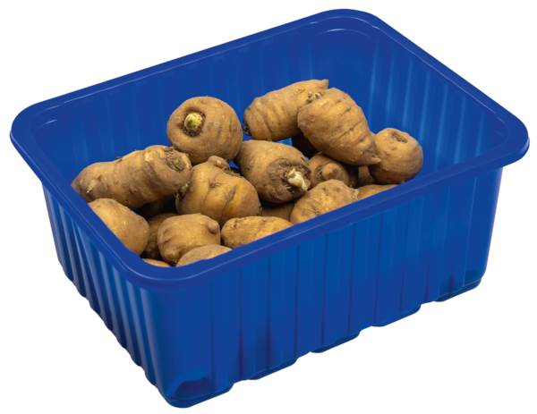 AGF kervel wortel 0,5 KG/ST