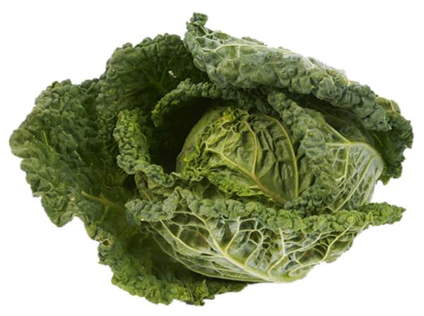 AGF savooie kool 1 KG/ST