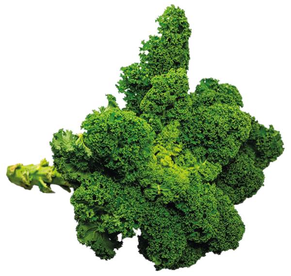 AGF boerenkool stronk 1 KG