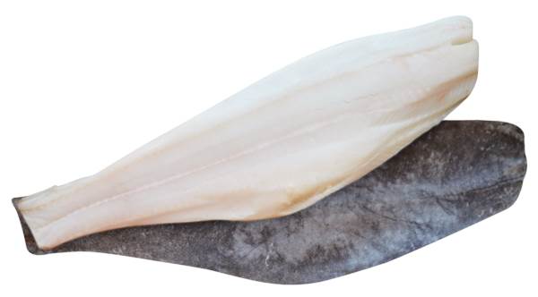 Mr Halibut filet ze skórą 1000-1500 g, IQF, glazura 20%, 10 KG/KT