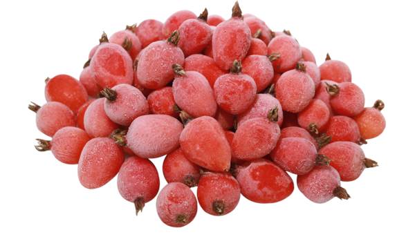 Mr Cajdex dzika róża-owoc, klasa I, 2,5 KG/PA