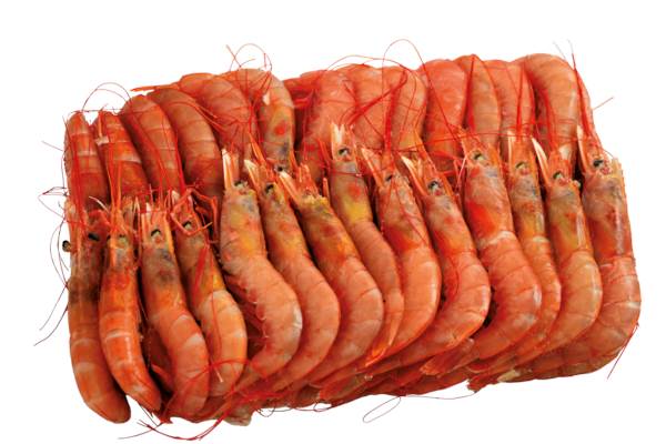 Mr Krewetka argentyńska 10/20 (L1), cała, surowa, glazura techniczna do 3%, 2 KG/PA , dziko poławiana, produkcja morska