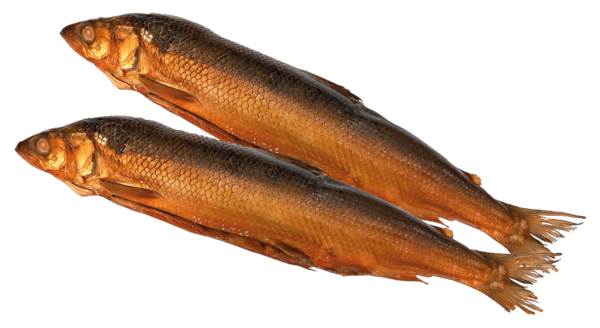 Mr Sielawa wędzona patroszona 300-600 g, wędzona naturalnie, na gorąco, vacuum, 3 KG/KT , bez glazury