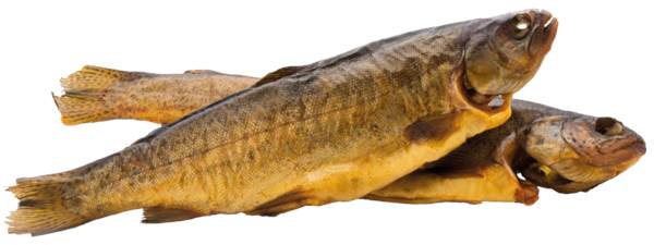 ZIELENICA - Pstrąg tęczowy patroszony, wędzony na gorąco, 250-400 g, ok. 0,25 KG/ST