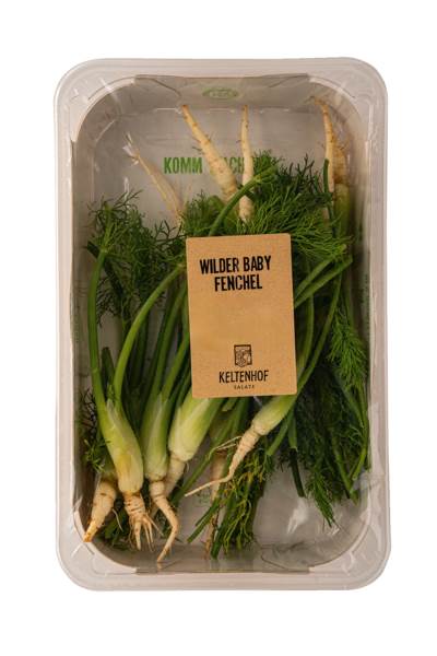 O+G Keltenhof, Wilder Baby Fenchel, 12er Schale, 500 G/SH