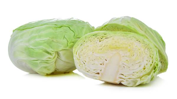 Kapusta biała na gołąbki, waga: 1500g+, 1 KG