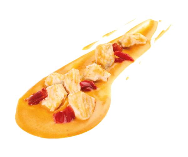 TK Star Culinar Hi Taste Panaeng-Curry mit Hähnchenbrust, 2 x 1,5 kg, 3 KG/BT ca. 33% Hähnchenbruststücke in Panaeng-Kokos-Curry-Sauce, PV 300g
