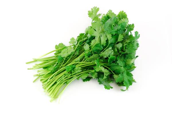 F+V Coriander 500g 500 G/P