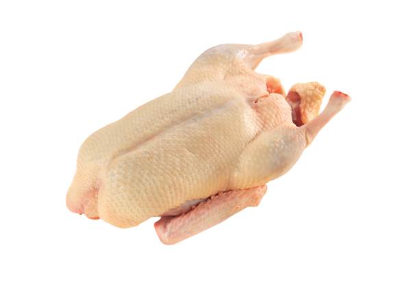 Mr Kaczka piżmowa (Barbarie), bez podrobów, z szyją, ok. 2,9 KG/ST  , kraj pochodzenia: Francja,