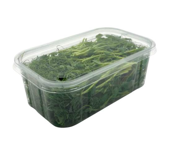 O+G Microgreen, Erbse, 100 G/SH