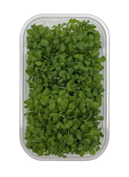 O+G Microgreen, Brokkoli, 75 G/SH
